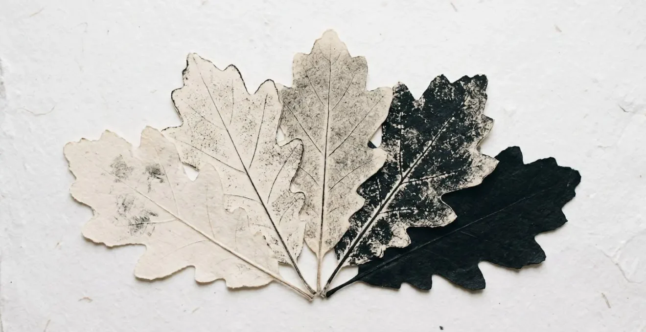 Composition minimaliste de feuilles imprimées disposées en éventail montrant différents niveaux de couverture d'encre